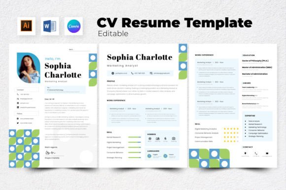 Download Resume / CV Marketing Analyst V2 - Analyst Collection